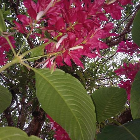 Casa Finca El Rosario San Marcos  Екстериор снимка